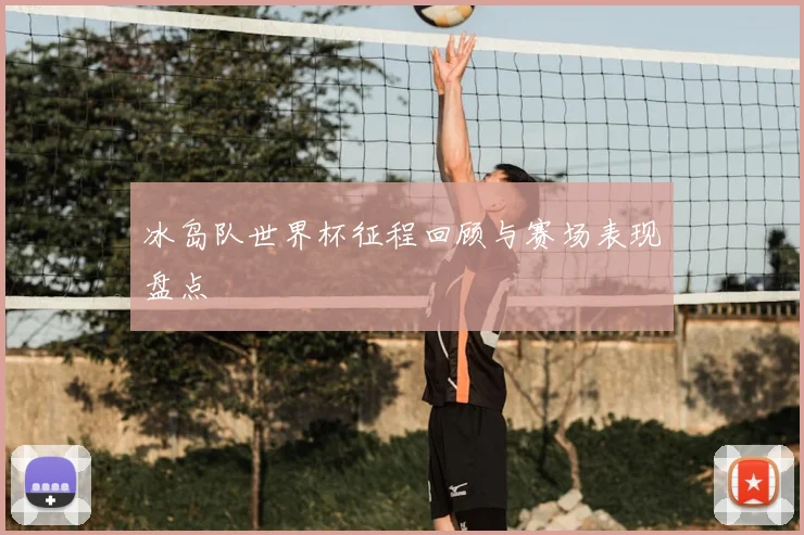 冰岛队世界杯征程回顾与赛场表现盘点