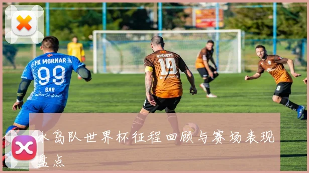 冰岛队世界杯征程回顾与赛场表现盘点