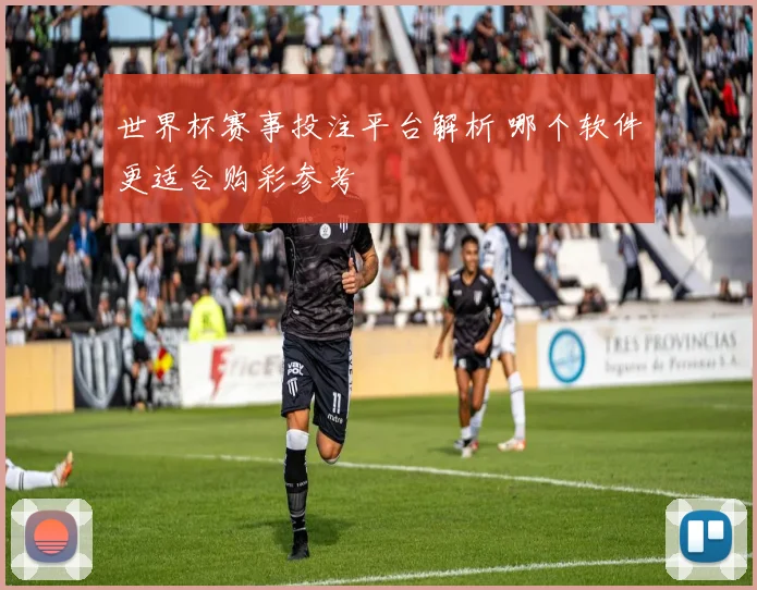 世界杯赛事投注平台解析 哪个软件更适合购彩参考